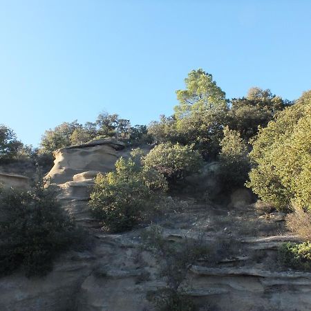 Une Ronce Sous Le Figuier Rousset-les-Vignes 외부 사진