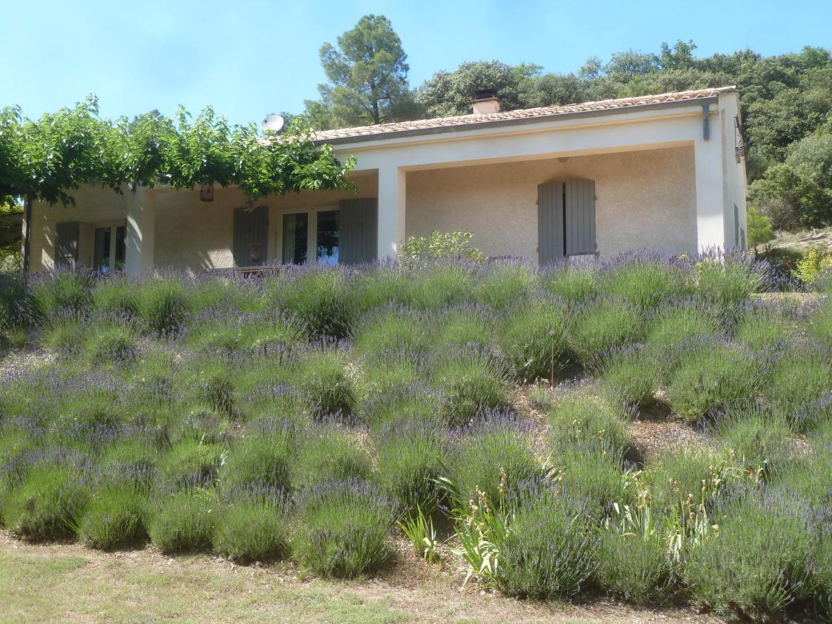 Une Ronce Sous Le Figuier Rousset-les-Vignes 외부 사진