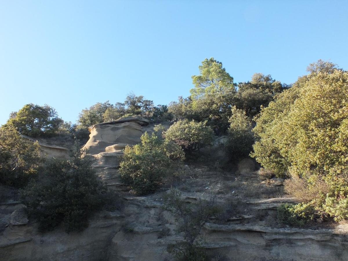 Une Ronce Sous Le Figuier Rousset-les-Vignes 외부 사진